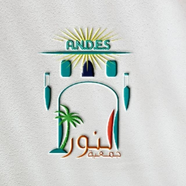 النور للتنمية الاقتصادية والاجتماعية